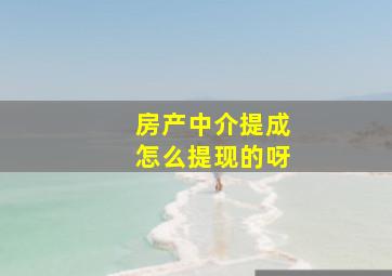 房产中介提成怎么提现的呀