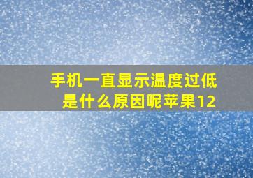 手机一直显示温度过低是什么原因呢苹果12