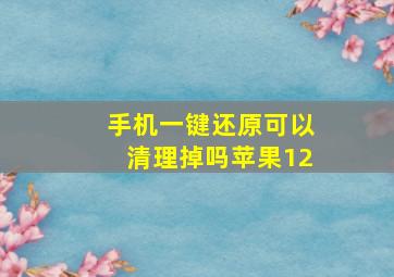 手机一键还原可以清理掉吗苹果12