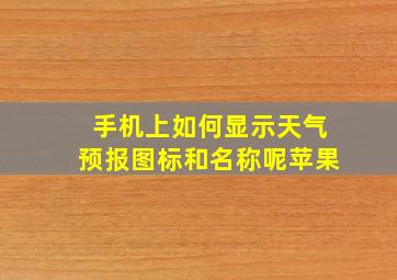 手机上如何显示天气预报图标和名称呢苹果