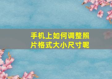 手机上如何调整照片格式大小尺寸呢