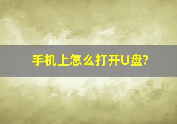 手机上怎么打开U盘?