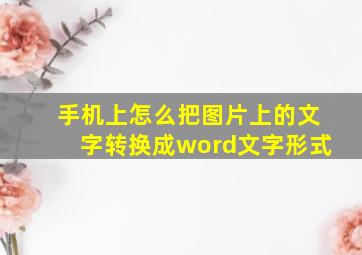 手机上怎么把图片上的文字转换成word文字形式