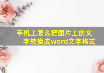 手机上怎么把图片上的文字转换成word文字格式