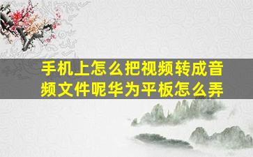 手机上怎么把视频转成音频文件呢华为平板怎么弄