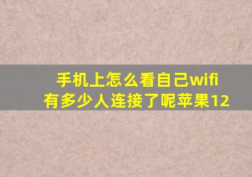 手机上怎么看自己wifi有多少人连接了呢苹果12