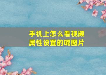 手机上怎么看视频属性设置的呢图片