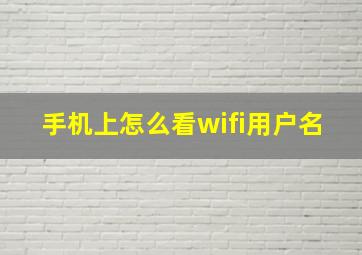 手机上怎么看wifi用户名