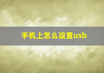 手机上怎么设置usb