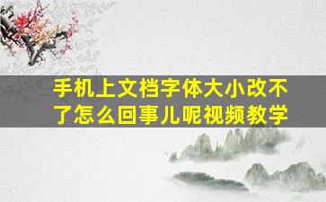 手机上文档字体大小改不了怎么回事儿呢视频教学