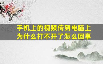 手机上的视频传到电脑上为什么打不开了怎么回事