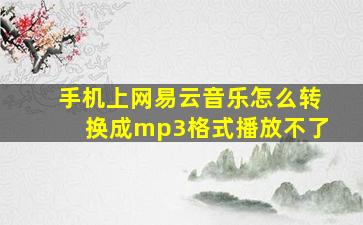 手机上网易云音乐怎么转换成mp3格式播放不了