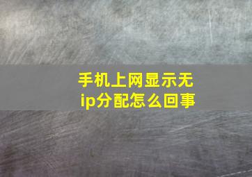 手机上网显示无ip分配怎么回事