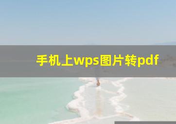 手机上wps图片转pdf