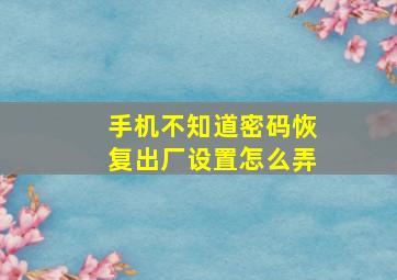 手机不知道密码恢复出厂设置怎么弄