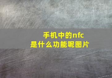 手机中的nfc是什么功能呢图片