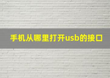 手机从哪里打开usb的接口