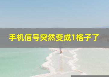 手机信号突然变成1格子了