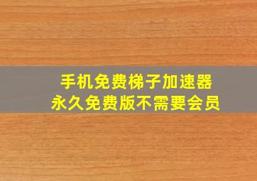 手机免费梯子加速器永久免费版不需要会员