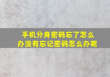 手机分身密码忘了怎么办没有忘记密码怎么办呢