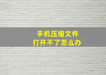 手机压缩文件打开不了怎么办