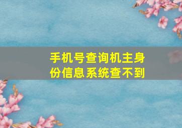 手机号查询机主身份信息系统查不到