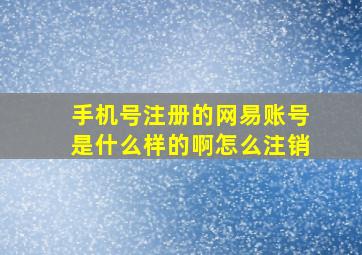 手机号注册的网易账号是什么样的啊怎么注销