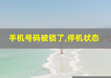 手机号码被锁了,停机状态