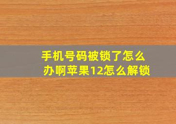 手机号码被锁了怎么办啊苹果12怎么解锁