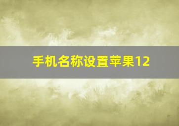 手机名称设置苹果12