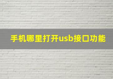 手机哪里打开usb接口功能