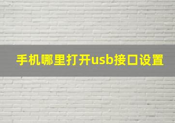 手机哪里打开usb接口设置