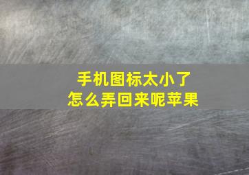 手机图标太小了怎么弄回来呢苹果