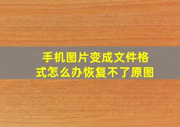 手机图片变成文件格式怎么办恢复不了原图