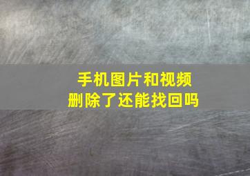 手机图片和视频删除了还能找回吗