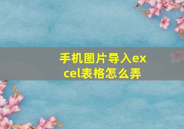 手机图片导入excel表格怎么弄