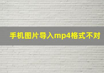 手机图片导入mp4格式不对