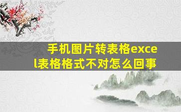 手机图片转表格excel表格格式不对怎么回事