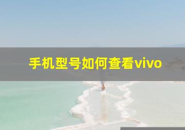 手机型号如何查看vivo