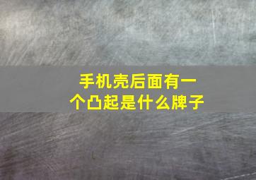 手机壳后面有一个凸起是什么牌子