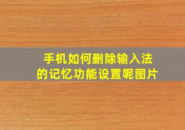 手机如何删除输入法的记忆功能设置呢图片