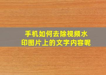 手机如何去除视频水印图片上的文字内容呢