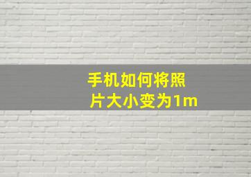 手机如何将照片大小变为1m