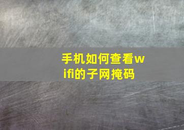 手机如何查看wifi的子网掩码