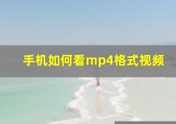 手机如何看mp4格式视频