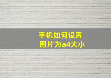 手机如何设置图片为a4大小