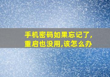 手机密码如果忘记了,重启也没用,该怎么办