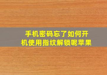 手机密码忘了如何开机使用指纹解锁呢苹果