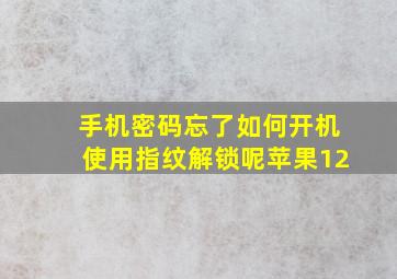 手机密码忘了如何开机使用指纹解锁呢苹果12