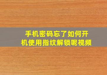 手机密码忘了如何开机使用指纹解锁呢视频